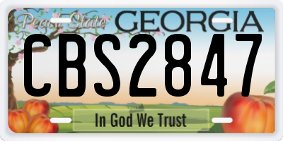 GA license plate CBS2847