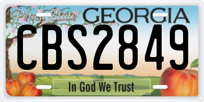 GA license plate CBS2849