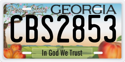 GA license plate CBS2853