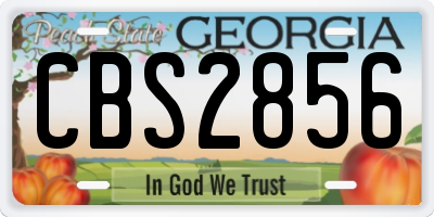GA license plate CBS2856