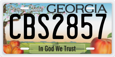 GA license plate CBS2857
