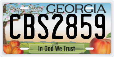 GA license plate CBS2859