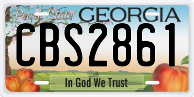 GA license plate CBS2861