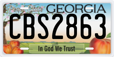 GA license plate CBS2863