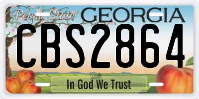 GA license plate CBS2864