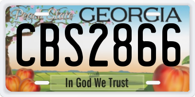 GA license plate CBS2866