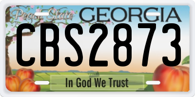 GA license plate CBS2873