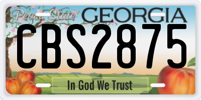 GA license plate CBS2875