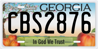 GA license plate CBS2876