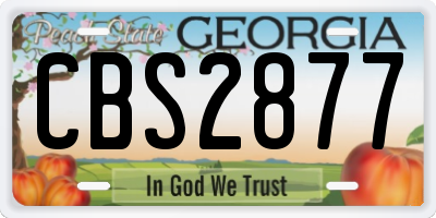 GA license plate CBS2877