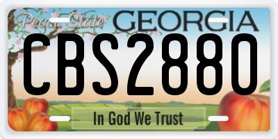 GA license plate CBS2880