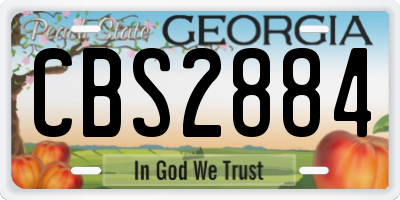 GA license plate CBS2884