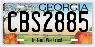 GA license plate CBS2885