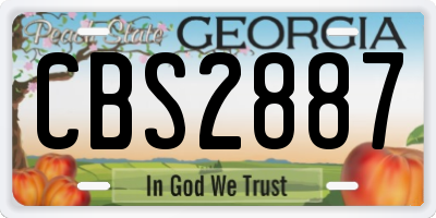 GA license plate CBS2887