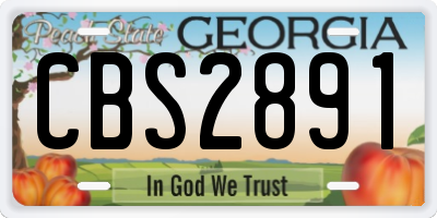 GA license plate CBS2891