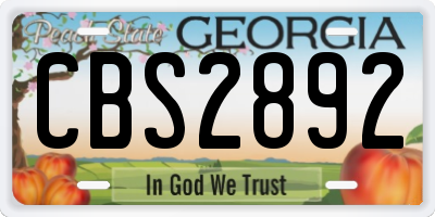 GA license plate CBS2892