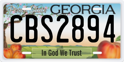 GA license plate CBS2894