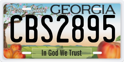 GA license plate CBS2895