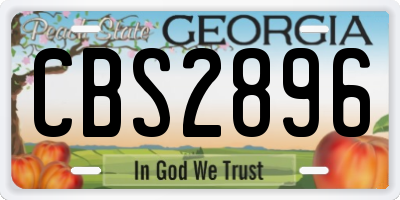 GA license plate CBS2896