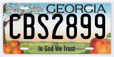 GA license plate CBS2899