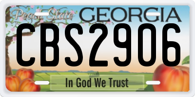 GA license plate CBS2906