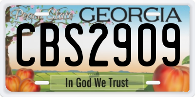 GA license plate CBS2909