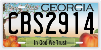 GA license plate CBS2914