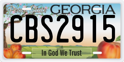 GA license plate CBS2915