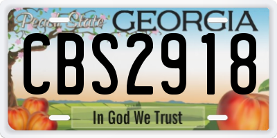GA license plate CBS2918