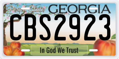 GA license plate CBS2923