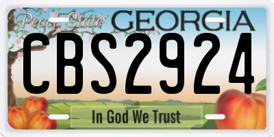 GA license plate CBS2924