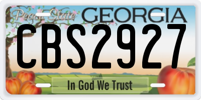 GA license plate CBS2927