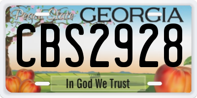 GA license plate CBS2928