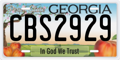 GA license plate CBS2929