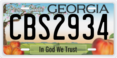 GA license plate CBS2934
