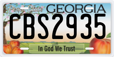 GA license plate CBS2935