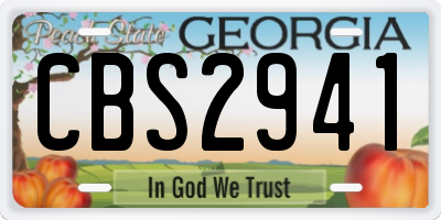 GA license plate CBS2941