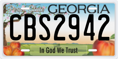 GA license plate CBS2942