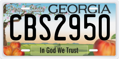GA license plate CBS2950