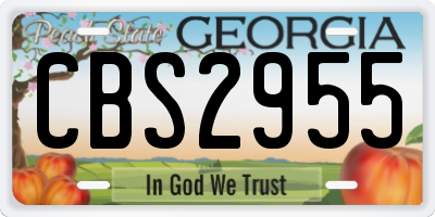 GA license plate CBS2955