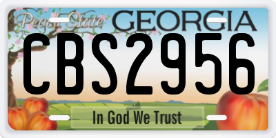 GA license plate CBS2956