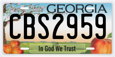 GA license plate CBS2959