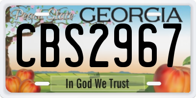 GA license plate CBS2967