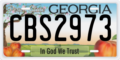 GA license plate CBS2973