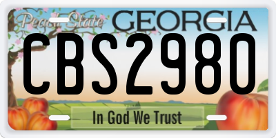 GA license plate CBS2980