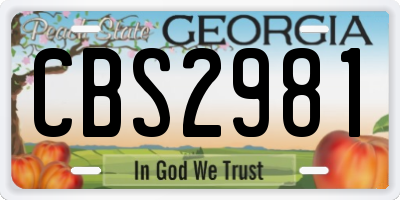 GA license plate CBS2981