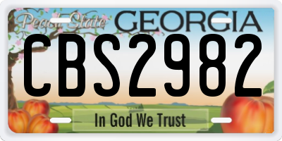 GA license plate CBS2982