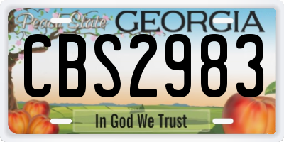GA license plate CBS2983