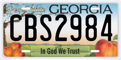 GA license plate CBS2984
