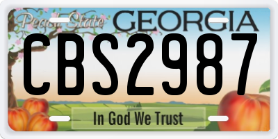 GA license plate CBS2987